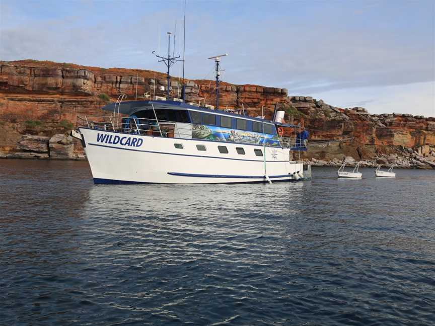 Wildcard Luxury Cruises, Nhulunbuy, NT