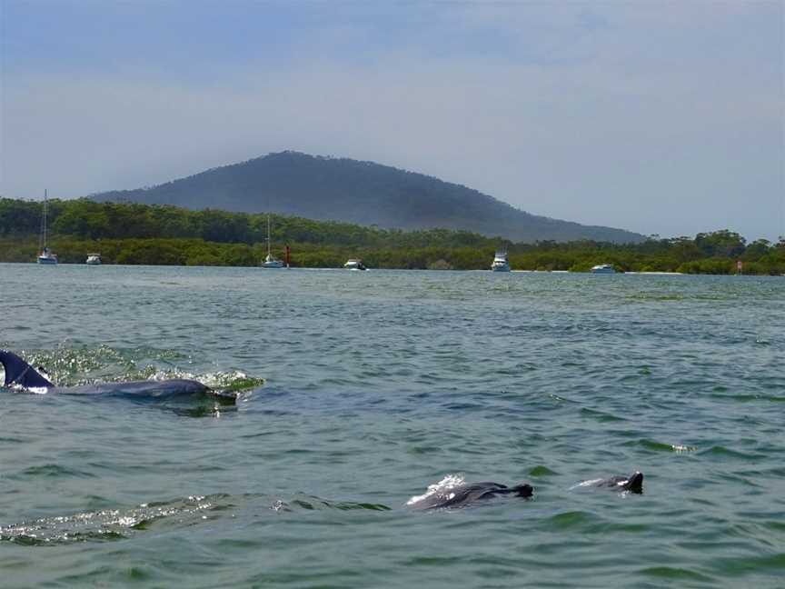 EZY KAYAKS Hawks Nest, Hawks Nest, NSW