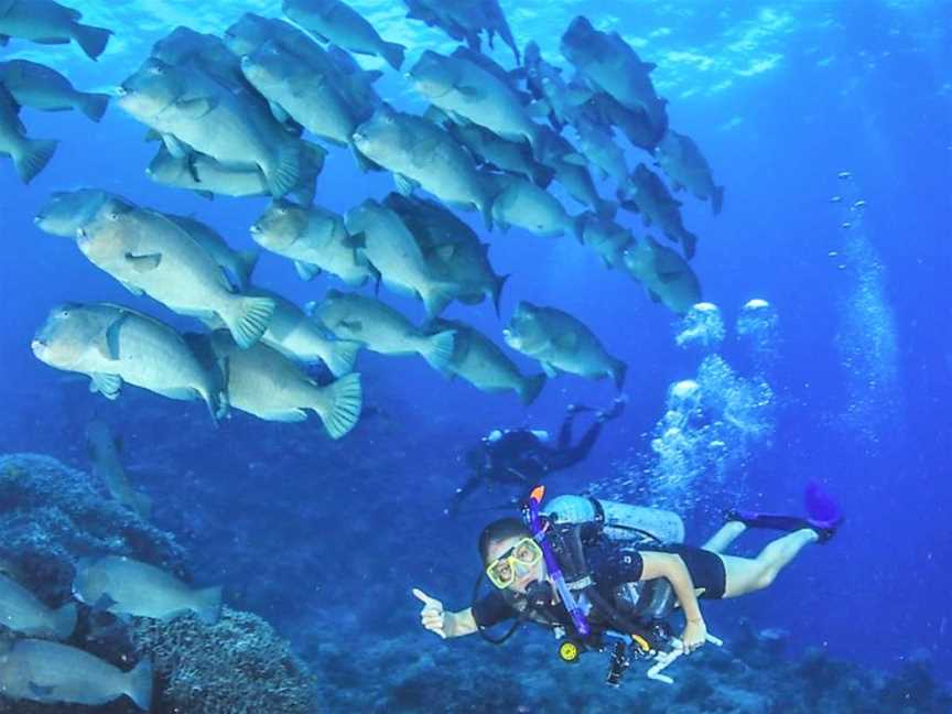 Overnight Great Barrier Reef Tour, Cairns City, QLD