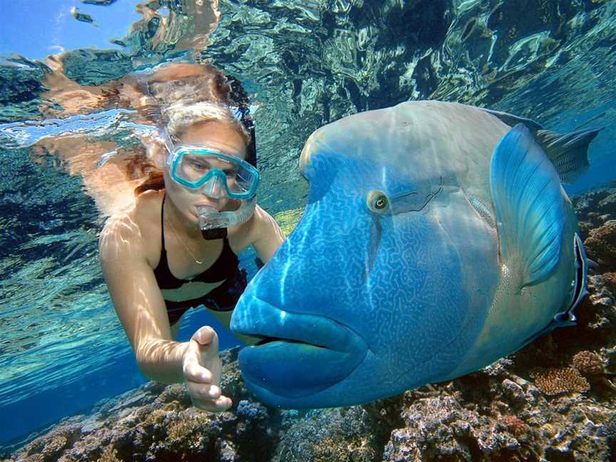 Reef Magic, Cairns City, QLD