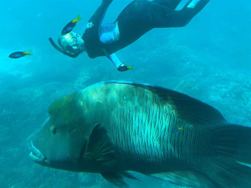 Reef Magic, Cairns City, QLD