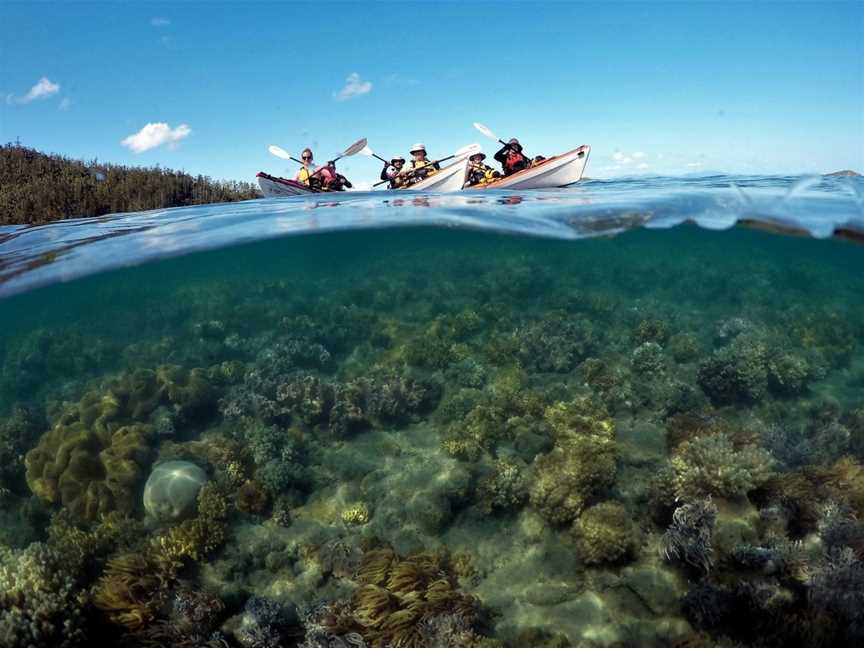 Salty Dog Sea Kayaking, Shute Harbour, QLD