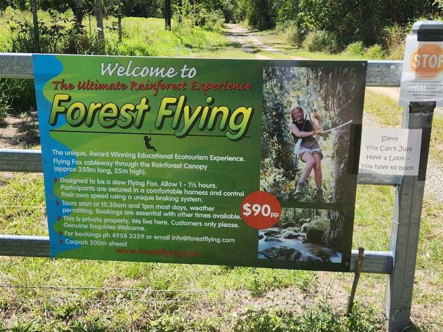 Forest Flying, Finch Hatton, QLD