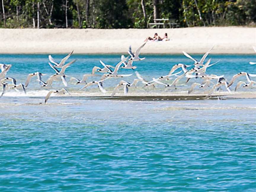 Noosa River Cruises, Noosaville, QLD