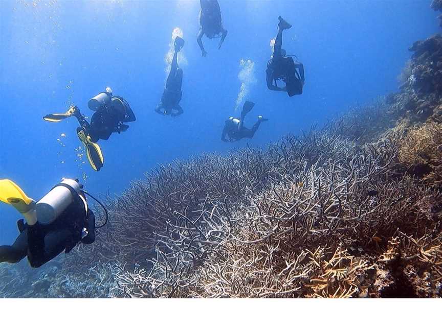 Remote Area Dive, South Townsville, QLD