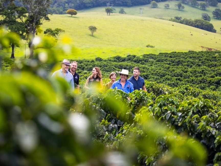 Cairns Tasting Tours, Whitfield, QLD