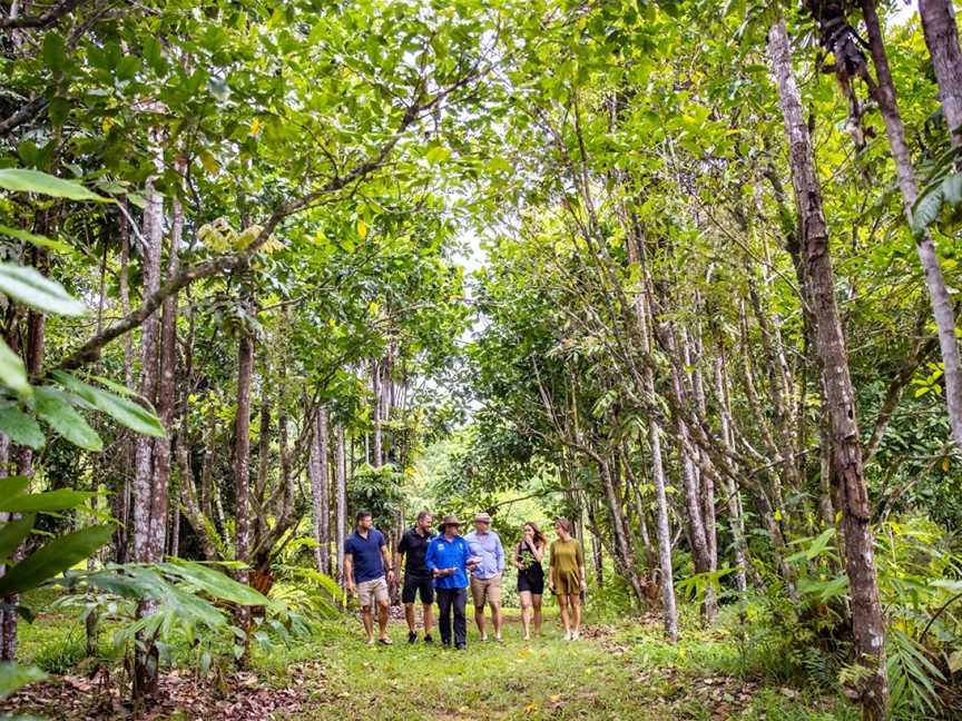 Cairns Tasting Tours, Tours in Whitfield