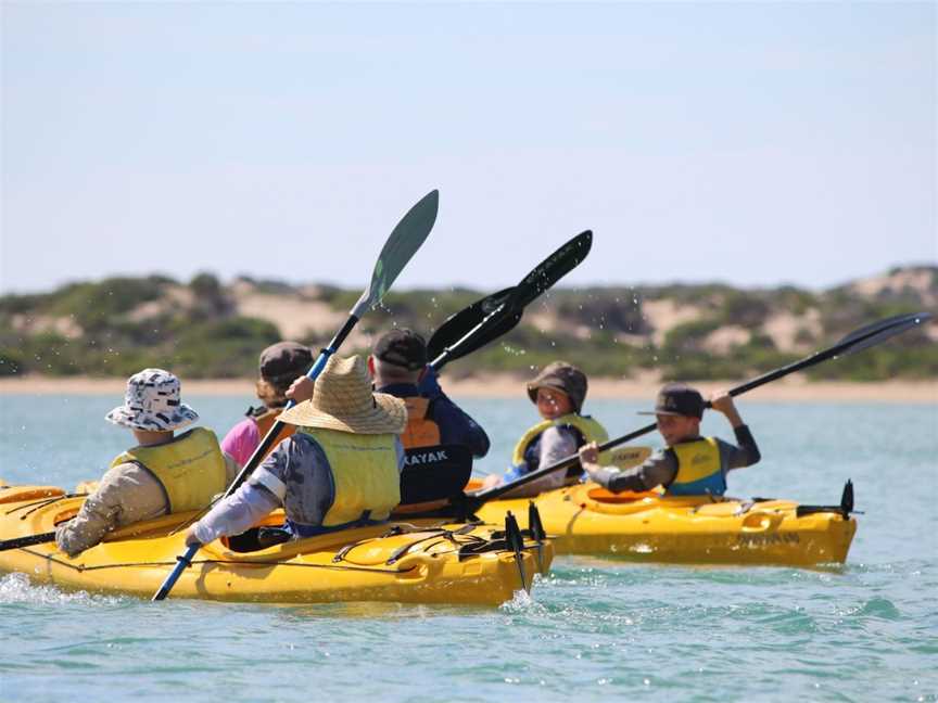 Canoe the Coorong Sunset Tour, Hindmarsh Island, SA