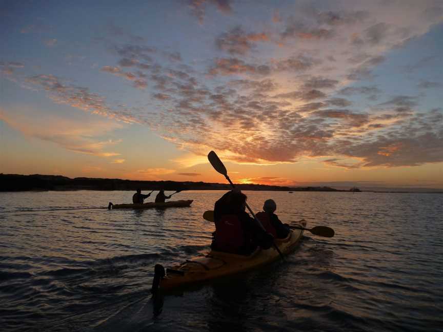 Canoe the Coorong Sunset Tour, Hindmarsh Island, SA