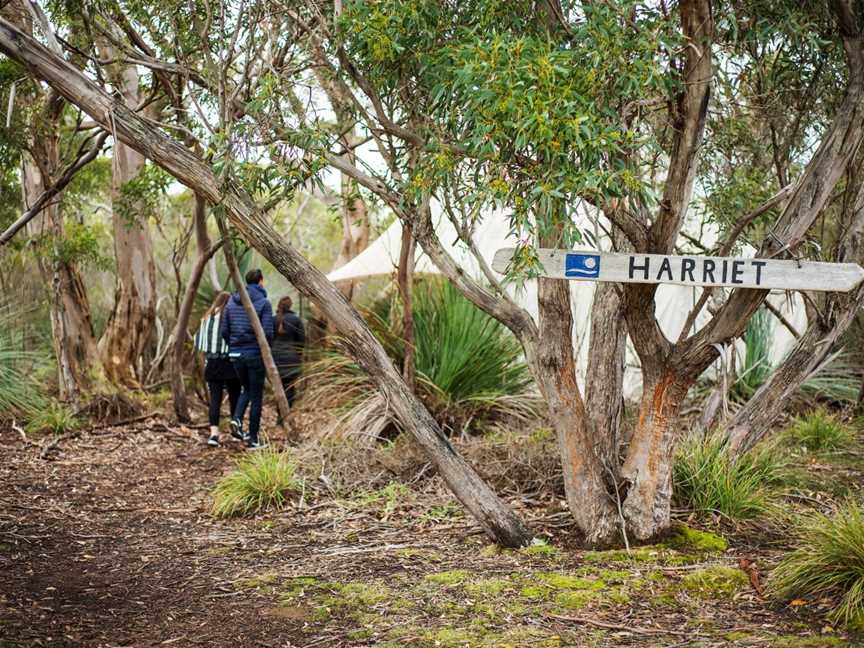 Kangaroo Island Odysseys, Kingscote, SA