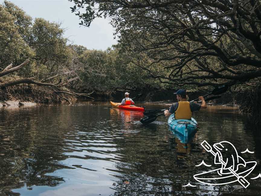 Dolphin Sanctuary Kayak Tours, Port Adelaide, SA