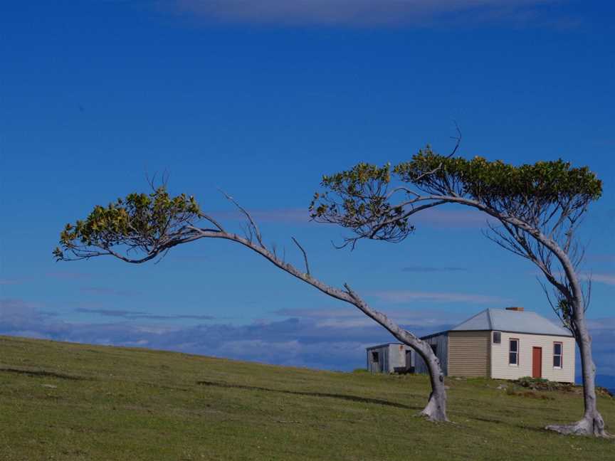 The Maria Island Guided Walk, Maria Island, TAS