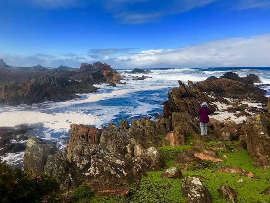 Tarkine Wilderness Walk, Corinna, TAS