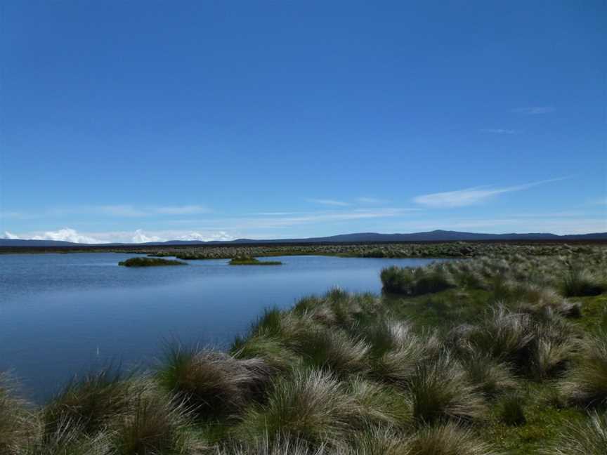 The Highland Fly, Miena, TAS