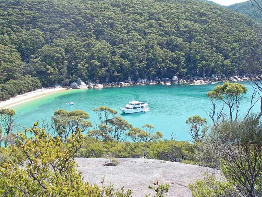 Wildlife Coast Cruises - Wilsons Promontory, Port Welshpool, VIC