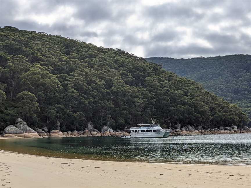 Wildlife Coast Cruises - Wilsons Promontory, Port Welshpool, VIC