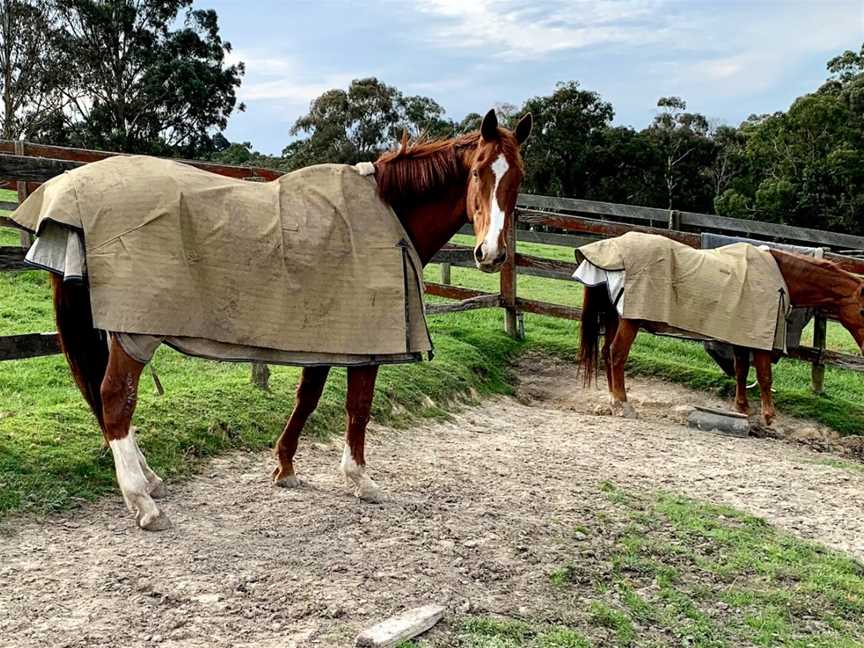 Ranges Equestrian Center, Yellingbo, VIC