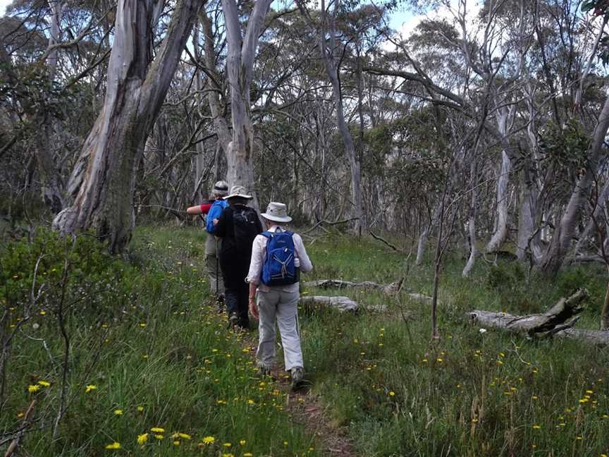 Gippsland High Country Tours, Bruthen, VIC