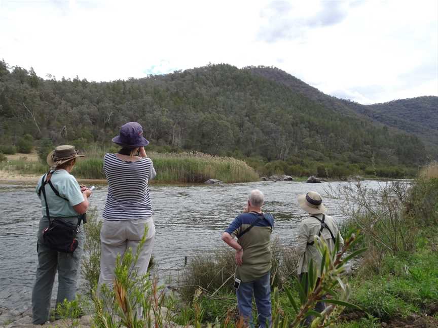 Gippsland High Country Tours, Bruthen, VIC