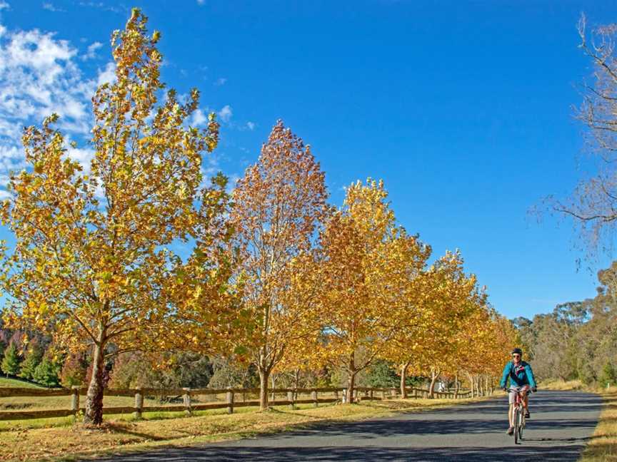 Australian Cycle Tours, Melbourne, VIC