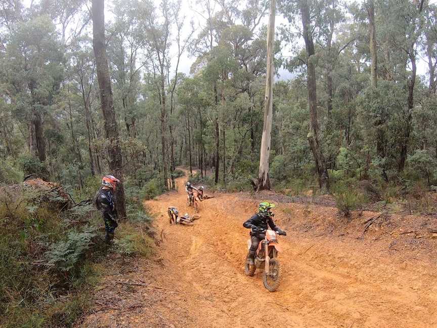 All In Dirtbike Adventures, Alexandra, VIC