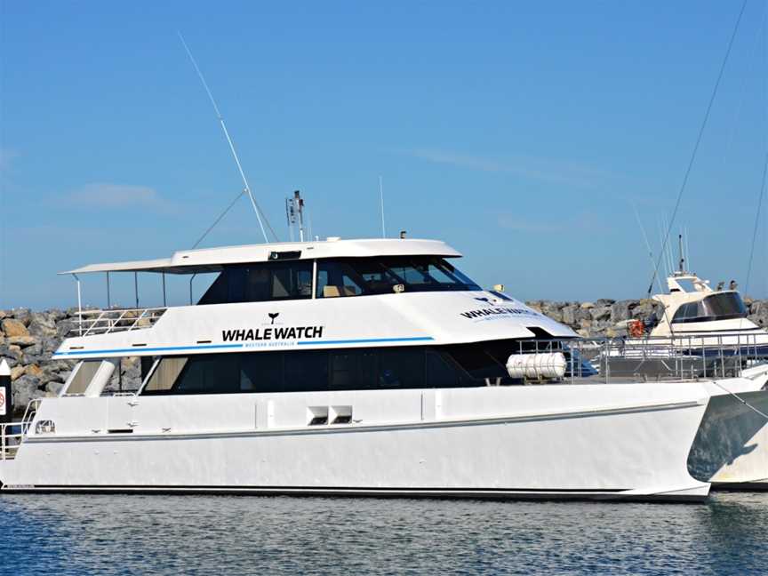 Whale Watch Western Australia, Fremantle, WA