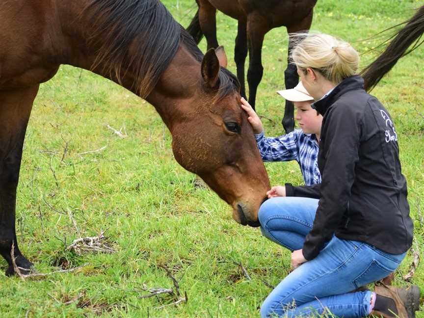 Horse Sense, Tutunup, WA