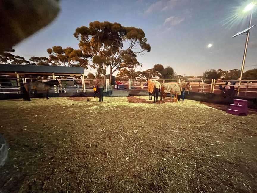 Horse Hub Kalgoorlie, Somerville, WA