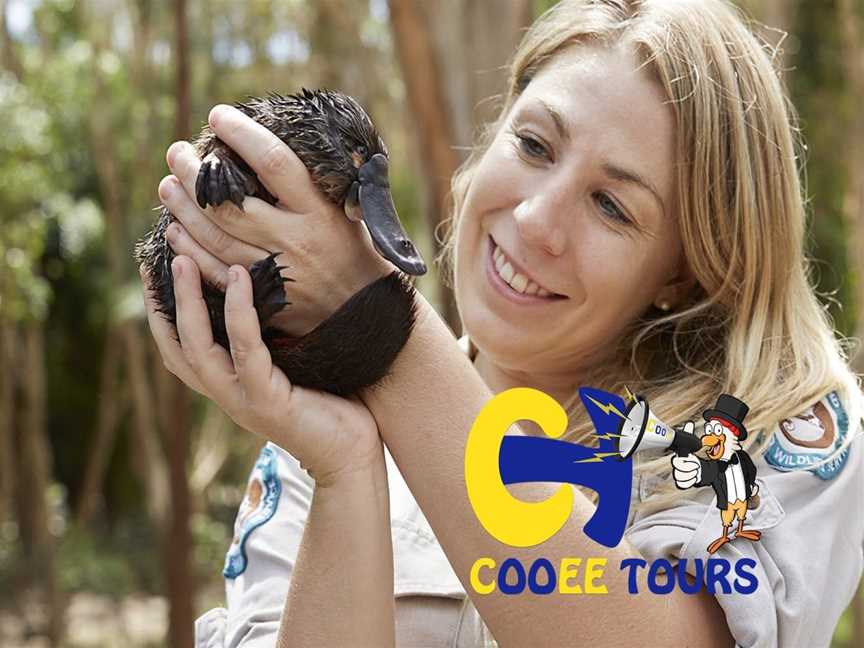 Cooee Tours David Fleay's Wildlife Park, Southport, QLD