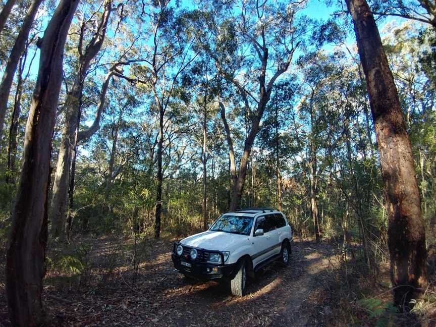 Blue Mountains Off-Road Tours, Bullaburra, NSW