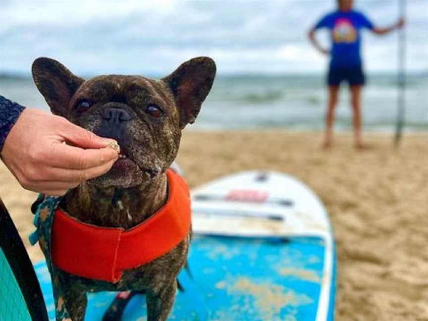 SUPs for PUPs, Seaford, VIC