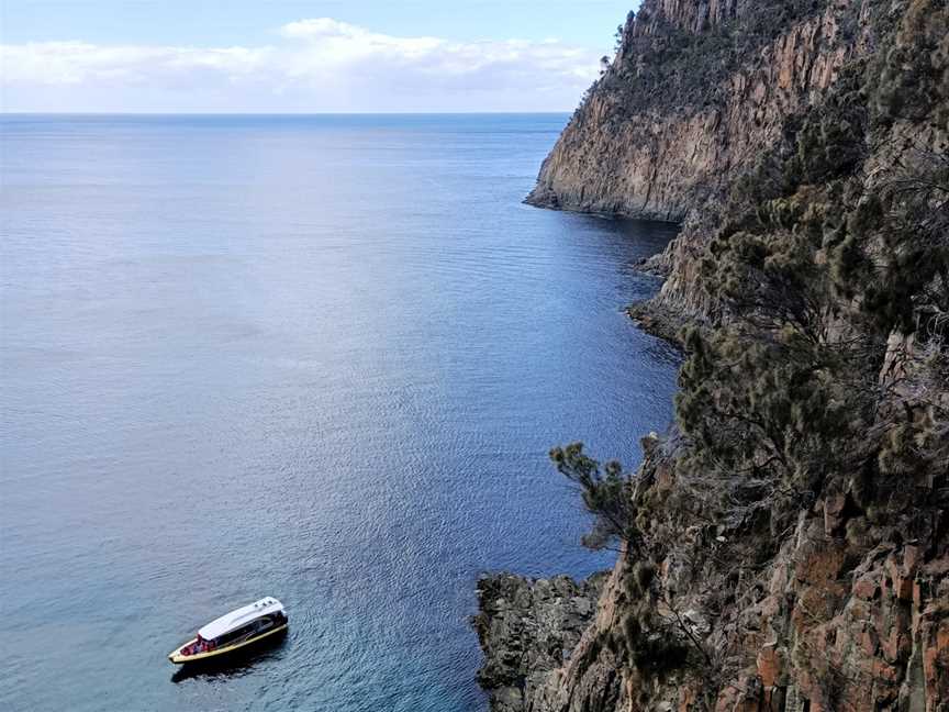 Fluted Cape Walk - Pennicott Wilderness Journeys, Hobart, TAS