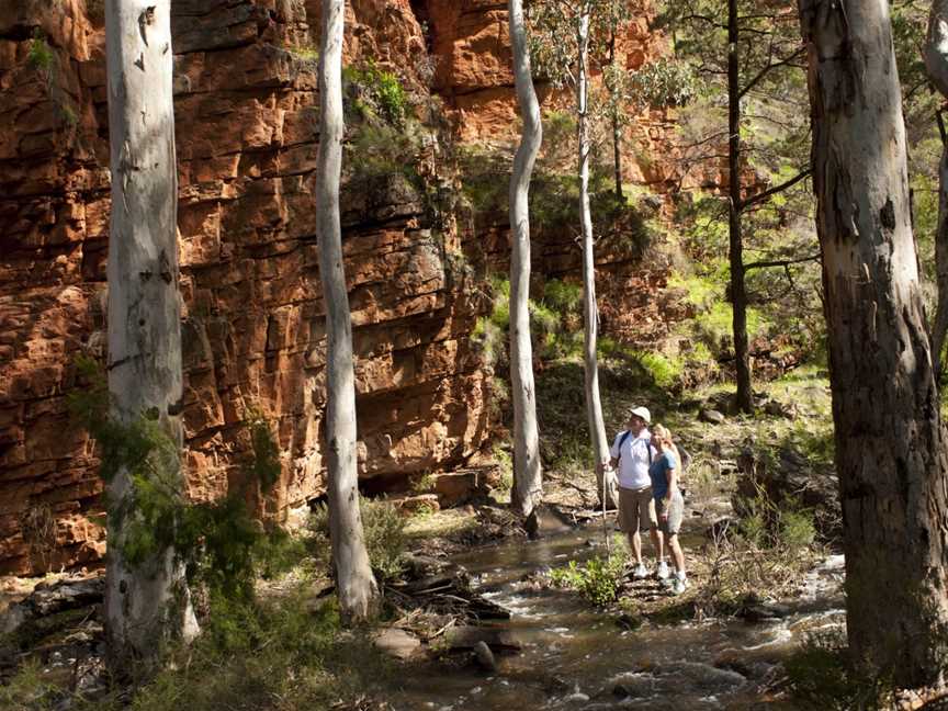 Park Trek Walking Holidays SA, Adelaide, SA