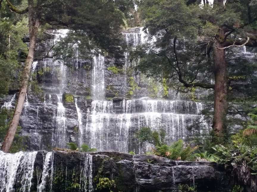 Spirit Safaris in Tasmania, Leslie Vale, TAS