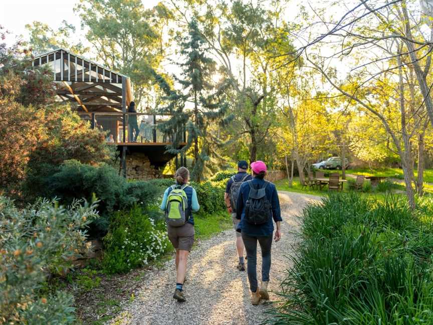 Clare Valley Walk, Spring Gully, SA