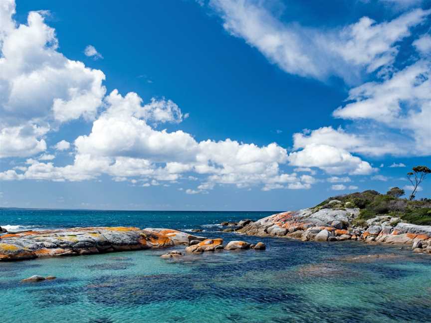 Inspiration Outdoors Walking Tours - Tasmania, Kingston, TAS