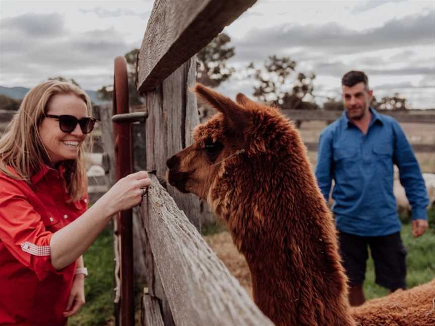 Wallinga Farm Tour - Mudgee, Spring Flat, NSW