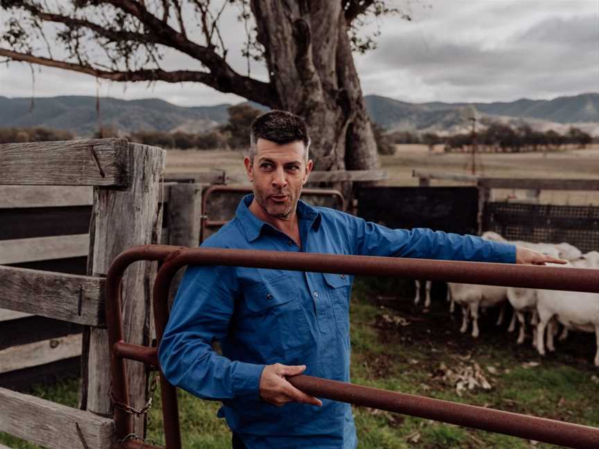 Wallinga Farm Tour - Mudgee, Spring Flat, NSW