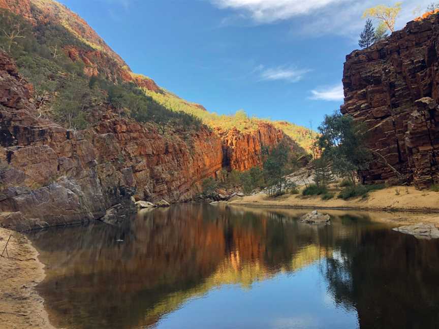 Art Tours of Australia, Larapinta, NT