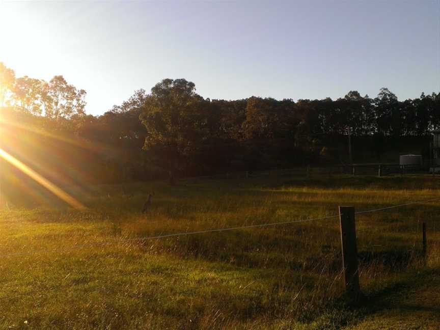 Hunter Valley Horse Riding and Adventures, Lovedale, NSW