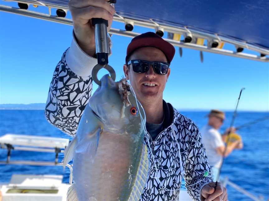 Cushy Fishing Charters - Tweed Heads, Tweed Heads, NSW