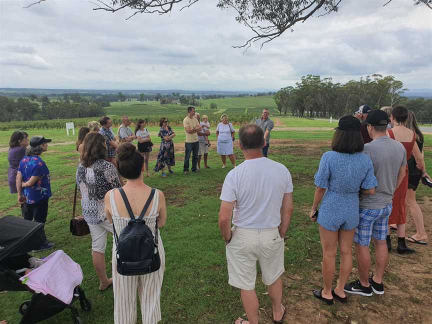 Shiraz Tours (Hunter Valley Wine Tours), Pokolbin, NSW