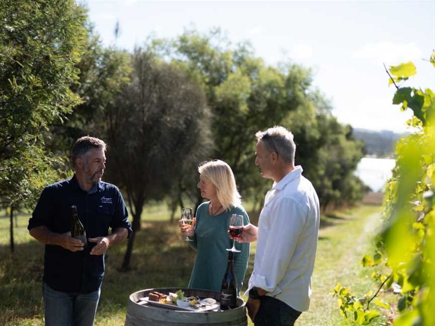 Wine in the Vines - Bangor Vineyard Tour, Dunalley, TAS