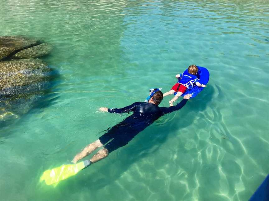 Aquascene Magnetic Island, Magnetic Island, QLD