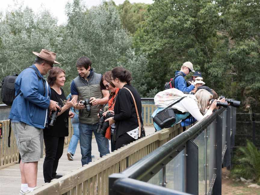 Capture Canberra Photography Tours, Tours in PHILLIP