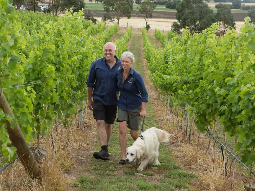 Wobbly Boot Vineyard - Wine and Vineyard Experiences, Campania, TAS