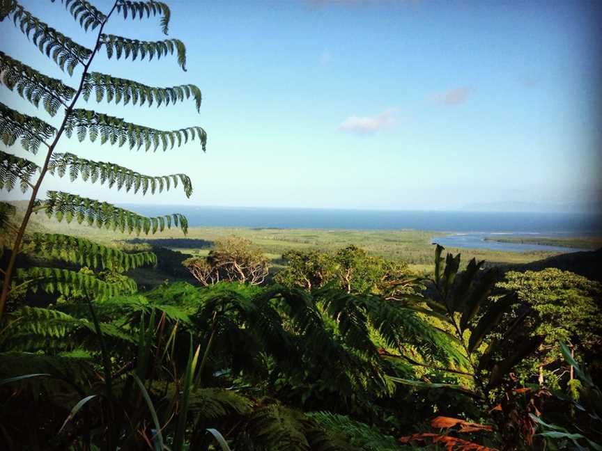 Daintree Wonder Tours, Port Douglas, QLD