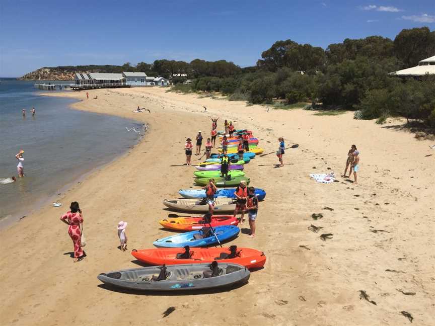 Paddle Life Barwon Heads, Barwon Heads, VIC