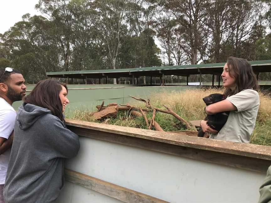 Aussie Ark - Devils in the Wild Tour, Tomalla, NSW