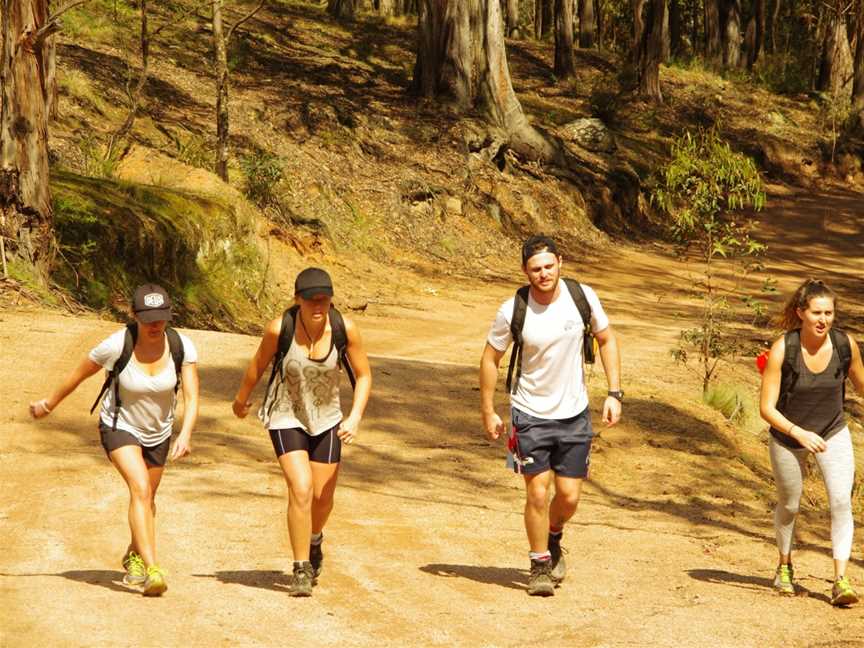 Peak Potential Adventures - Six Foot Track Trek, Charmhaven, NSW